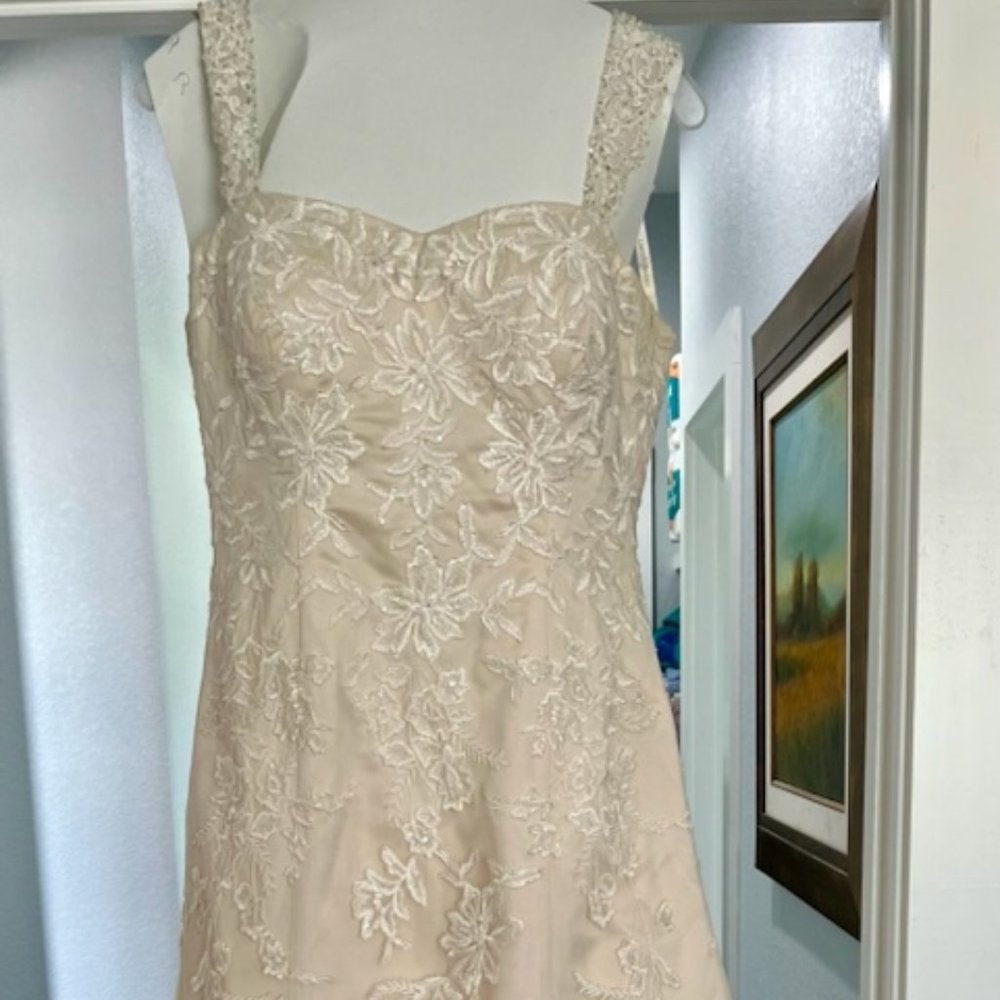 Wedding Gown